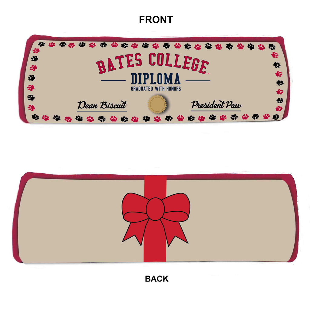 Pet, College Diploma Dog Toy