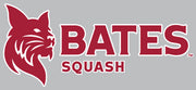 Bates Team Sports Decal