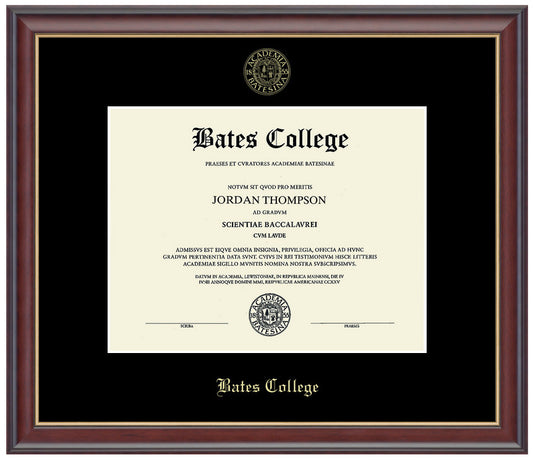 Embossed Studio Gold Diploma Frame