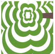 Green Horizons Box