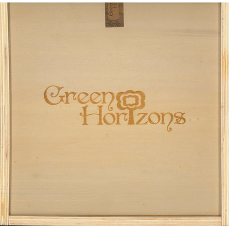 Green Horizons Box