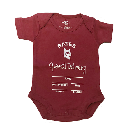 Newborn "Special Delivery" Onesie