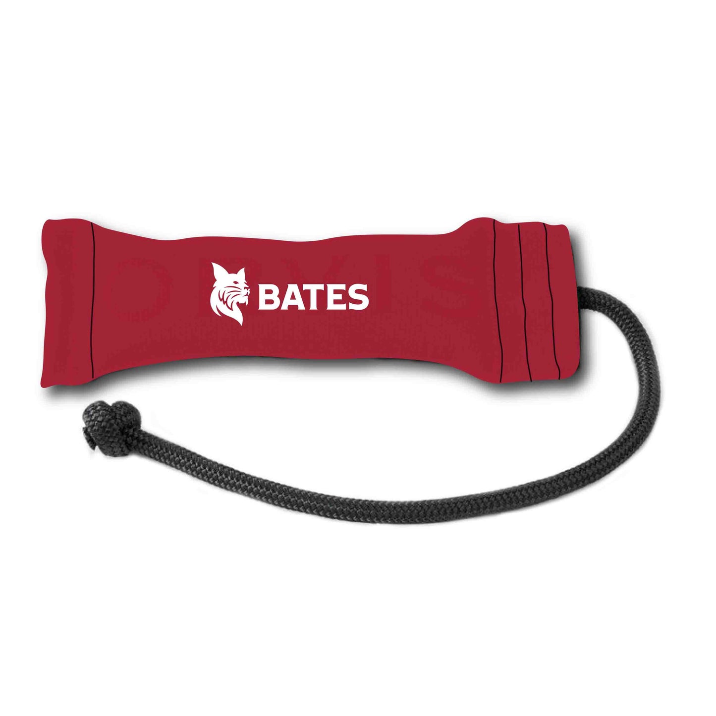 Pet, BATES Bumper Dog Toy