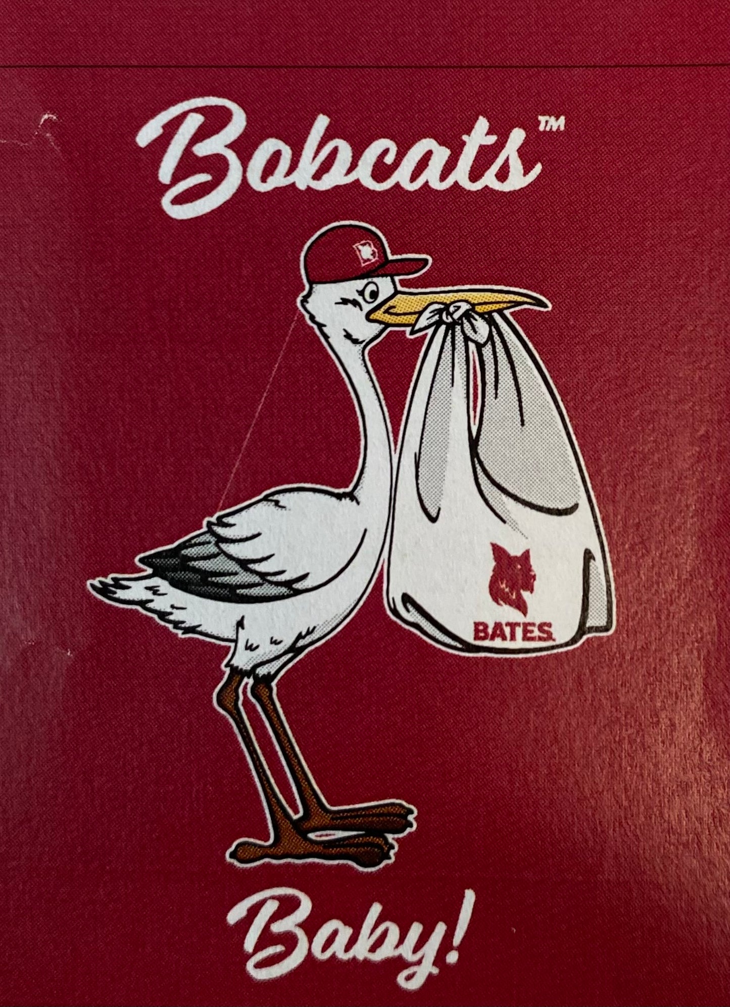 Bobcats Baby Flag 30"x40"