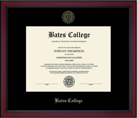 Gold Embossed Achievement Diploma Frame