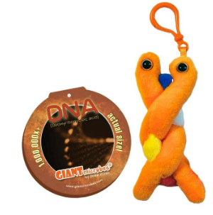 DNA Key Chain from Giant Microbes