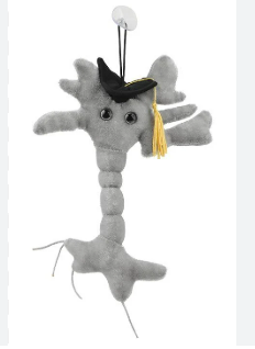 Graduation Brain Cell Keychain from Giant Microbes