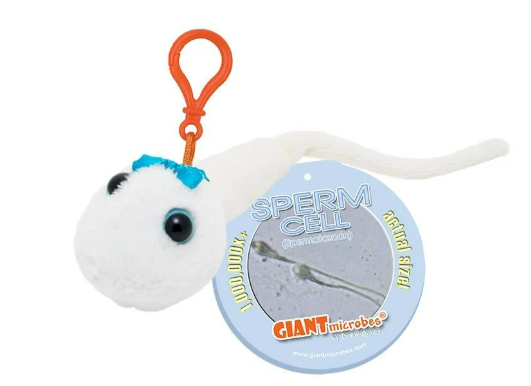 Sperm Cell Keychain from Giant Microbes