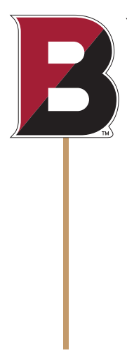 Split-B Logo on a Stick