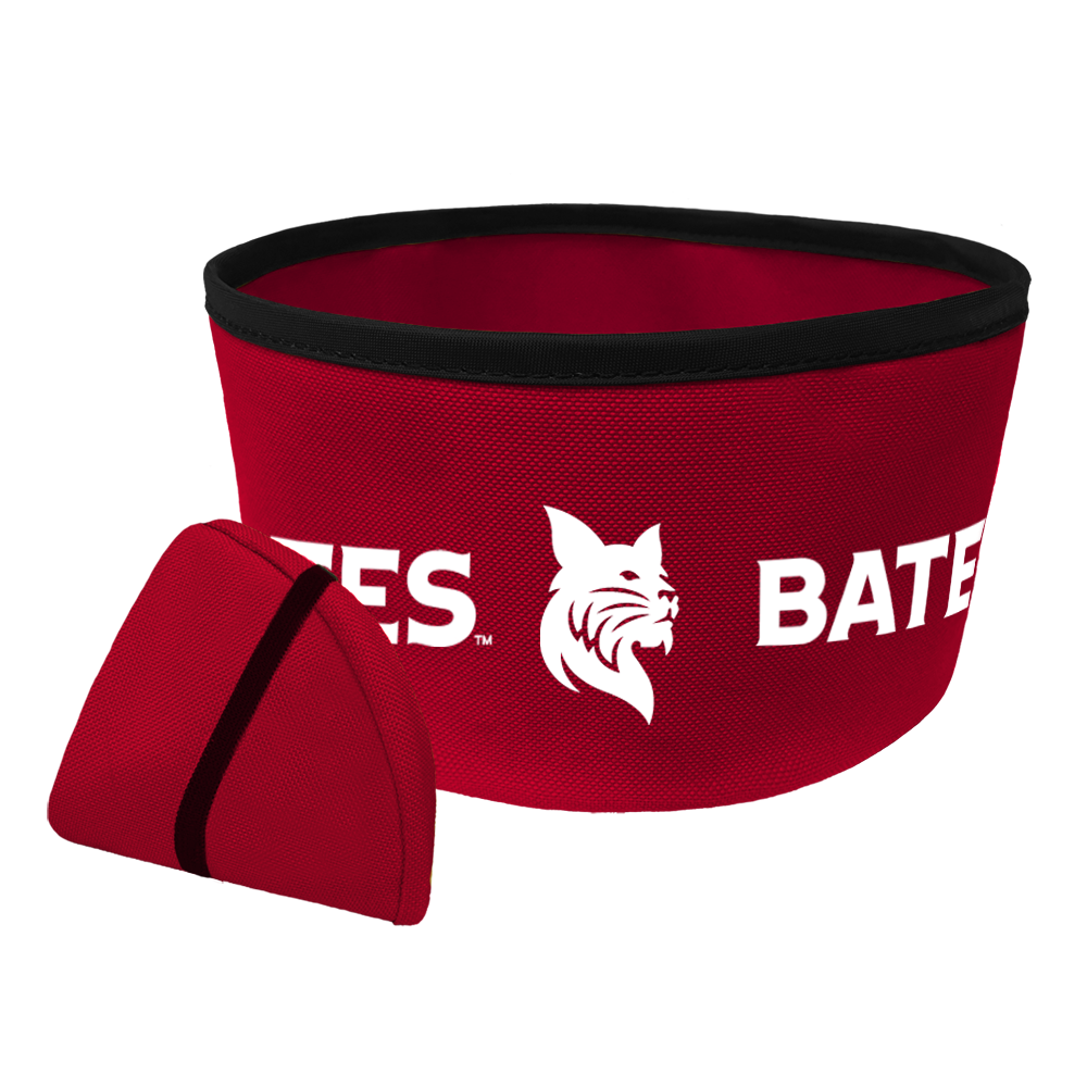 Collapsible Travel Dog Bowl