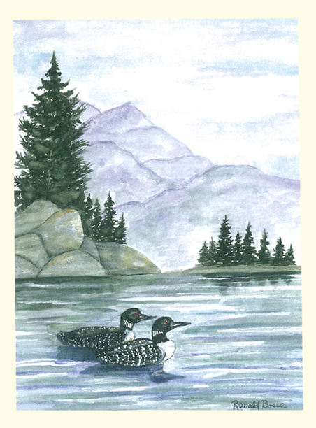 Single Loons Print