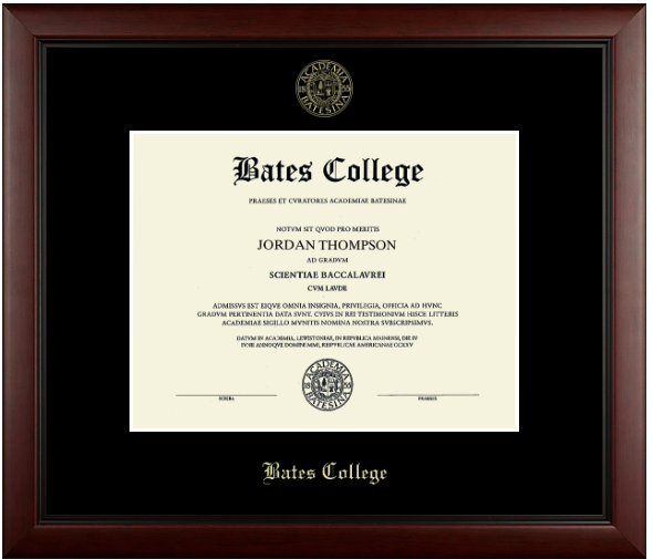 Gold Embossed Achievement Diploma Frame