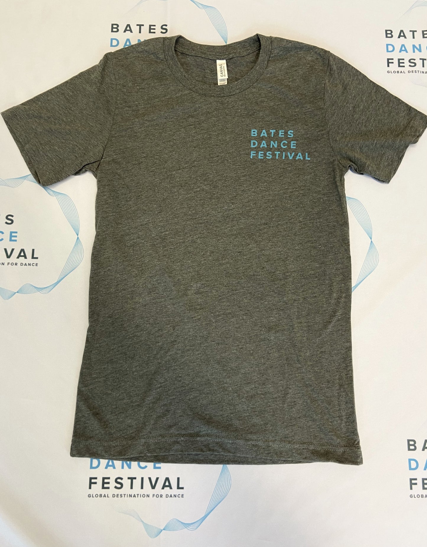 Bates Dance Festival Charcoal Rainbow Tee