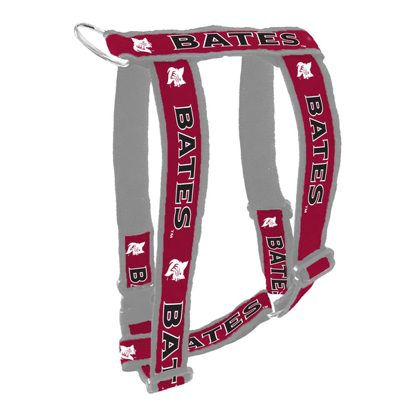 Sports/NCAA/Collars&Leashes – Petshion Boutique