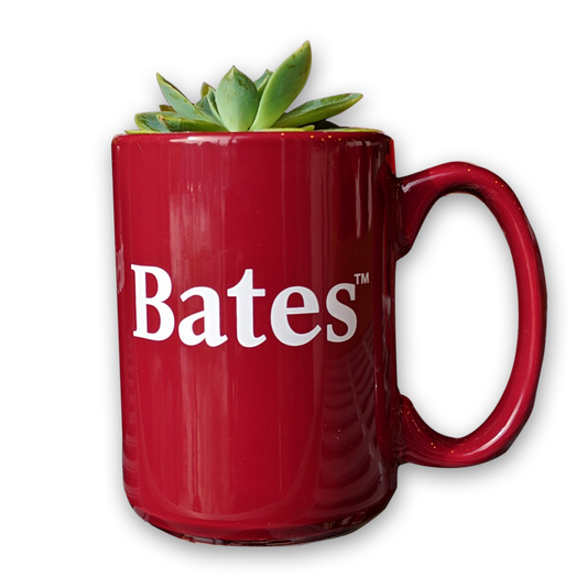 Bates Succulent Plant in Bates Mug (only available on campus)